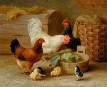 unknow artist Cocks 106 Sweden oil painting art